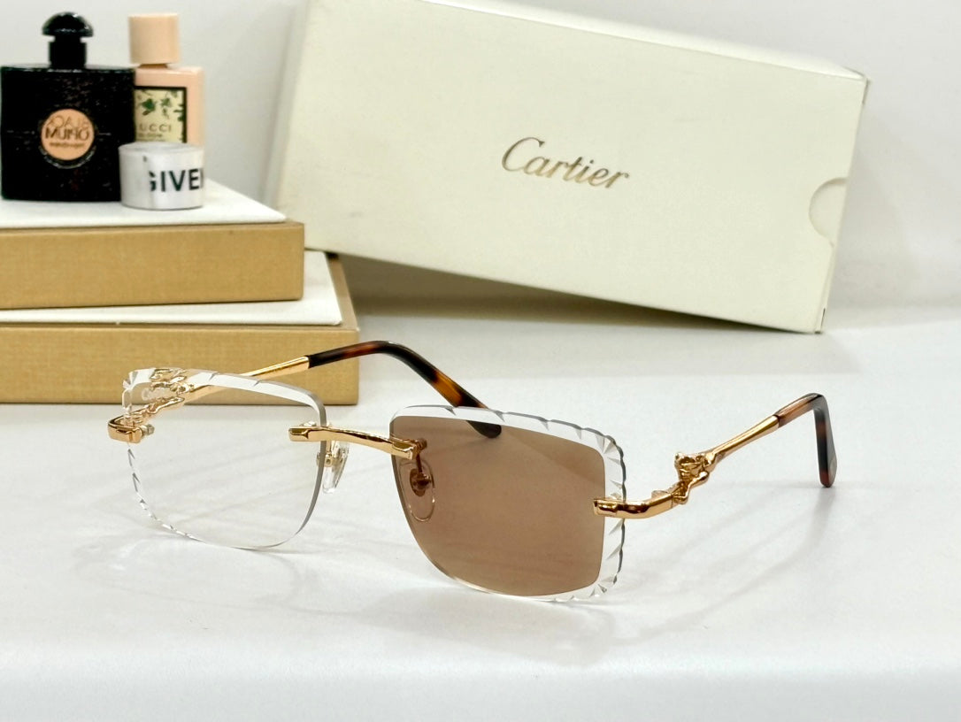 SUNGLASSES NEW ARRIVALS