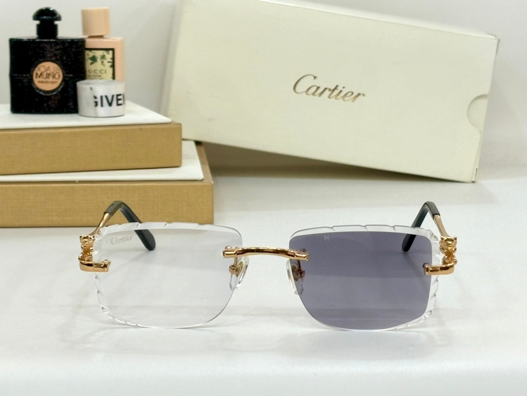 SUNGLASSES NEW ARRIVALS