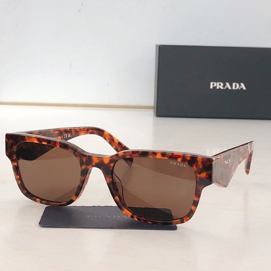 SUNGLASSES NEW ARRIVALS